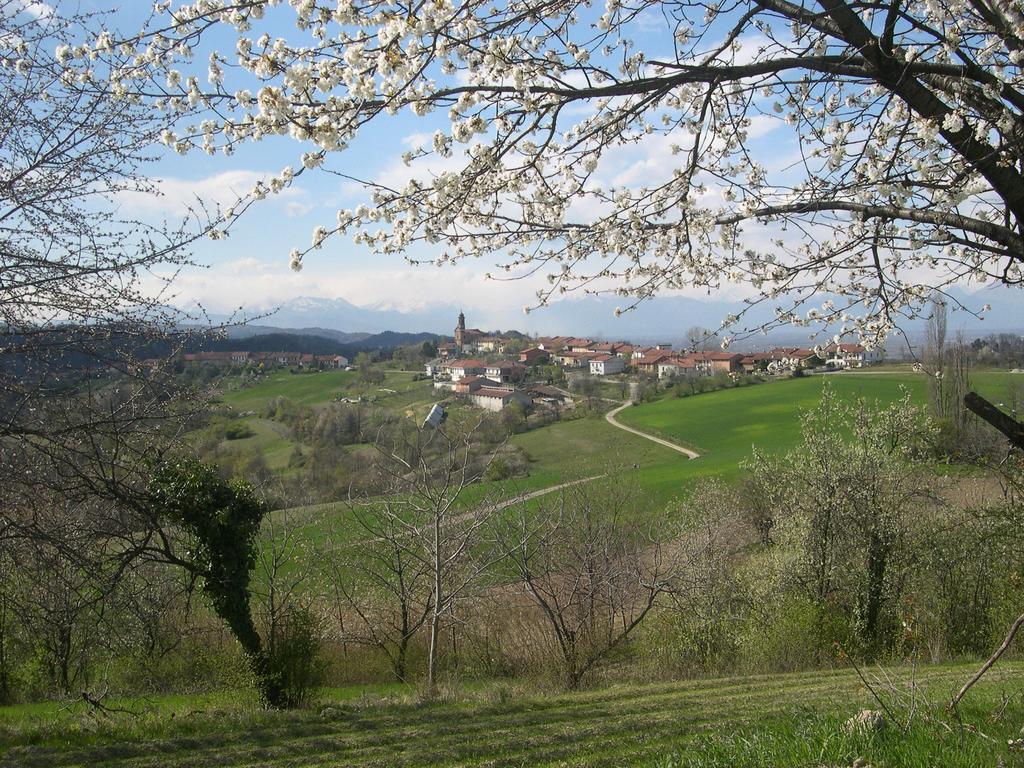 B&B Ca' Dla Nona Brusasco Buitenkant foto