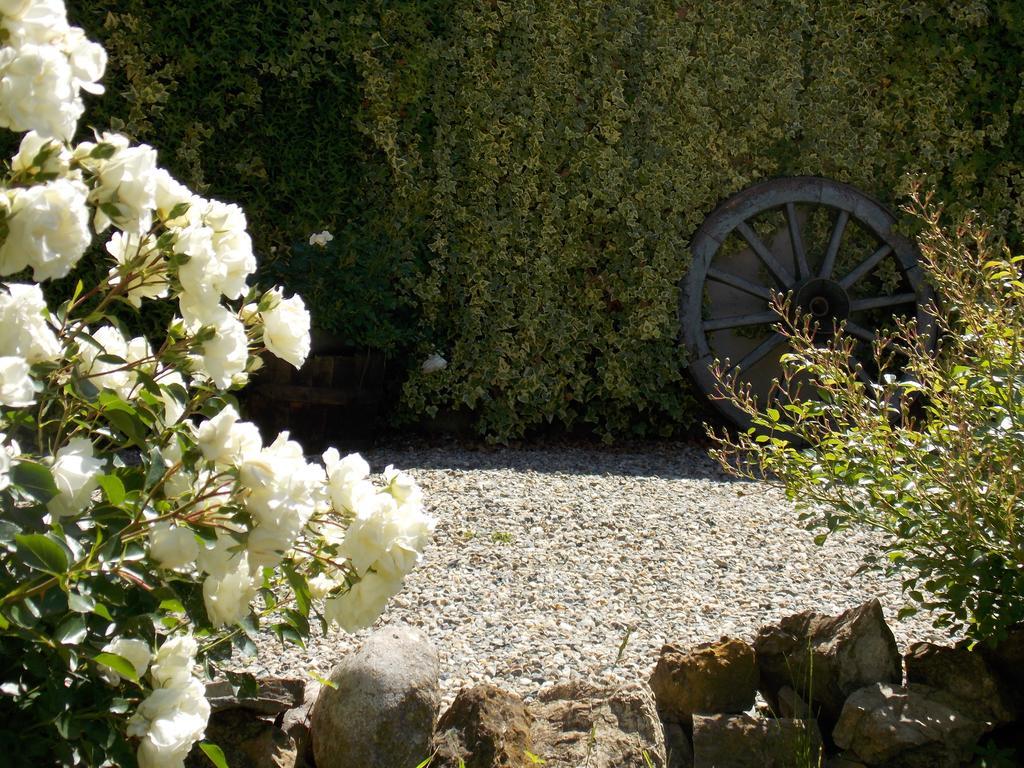 B&B Ca' Dla Nona Brusasco Buitenkant foto