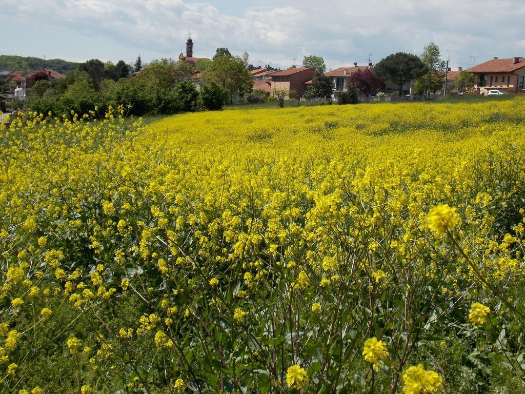 B&B Ca' Dla Nona Brusasco Buitenkant foto